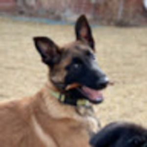 Meet your Posher, Mary